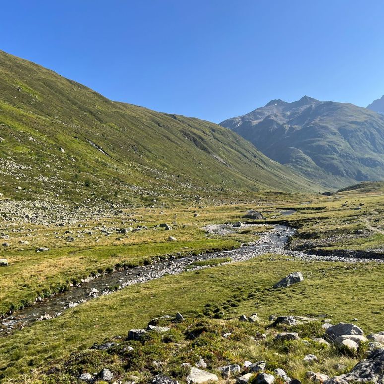 Alp Funtauna Graubünden
